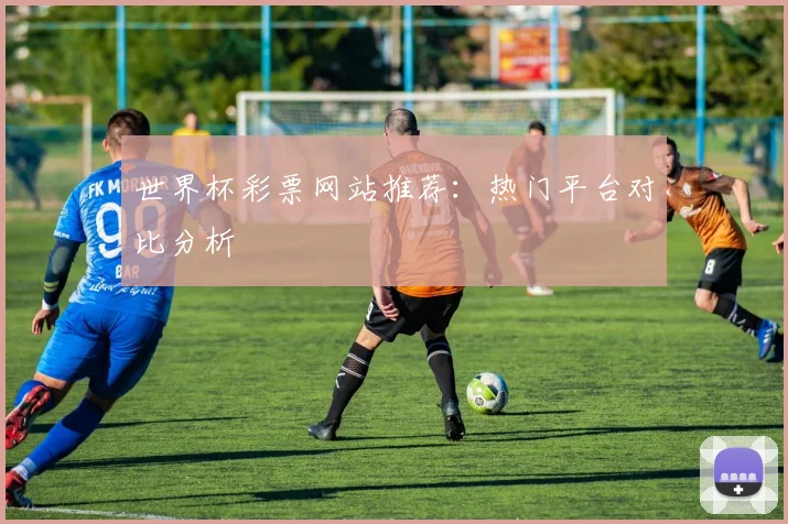 世界杯彩票网站推荐:热门平台对比分析