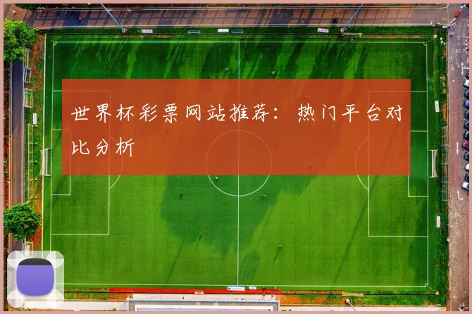 世界杯彩票网站推荐：热门平台对比分析