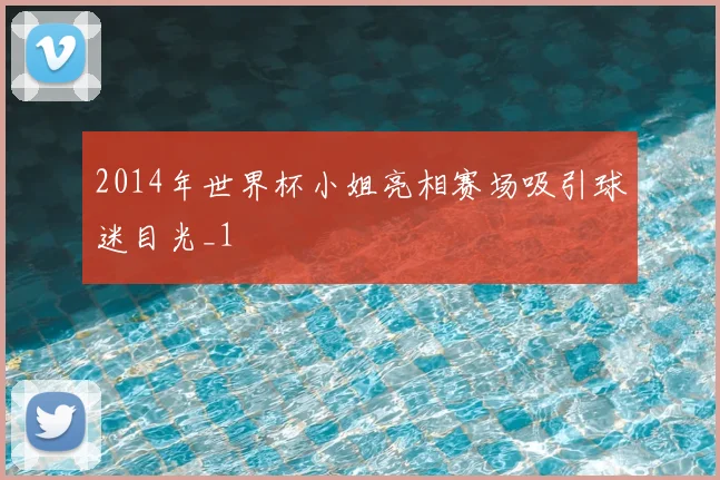 2014年世界杯小姐亮相赛场吸引球迷目光_1